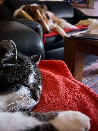 Was hat euch heute gefreut?-Beitrag-Bild