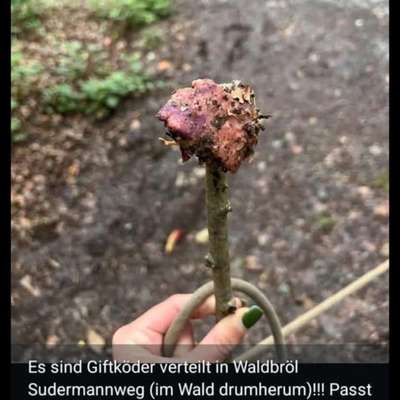 Giftköder-Giftköder-Bild