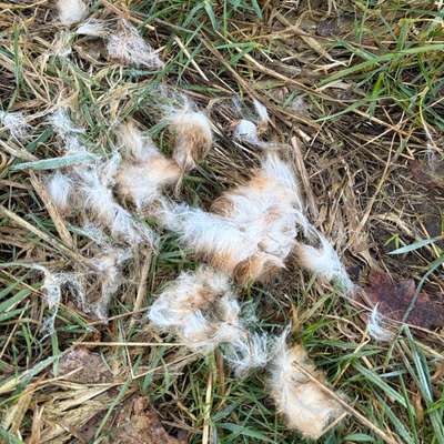 "Wege zur Freundschaft" (Ulli Reichmann)-Beitrag-Bild