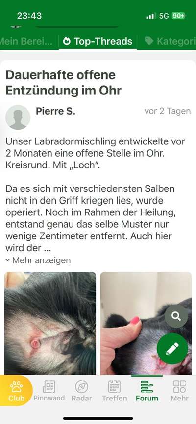 Leichte Entzündung am Ohr Innen. Welche salbe?-Beitrag-Bild