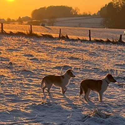 Spaziergang im kalten-Beitrag-Bild