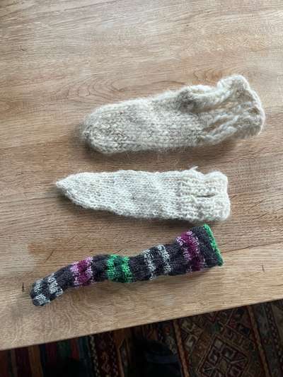 Happy Tail Syndrome - Tipps für Verband an Rute?-Beitrag-Bild