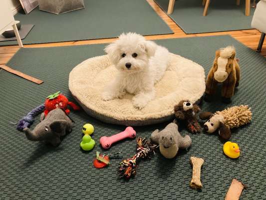 Fotochallenge Nr. 67: Euer Lieblingsbild-Beitrag-Bild