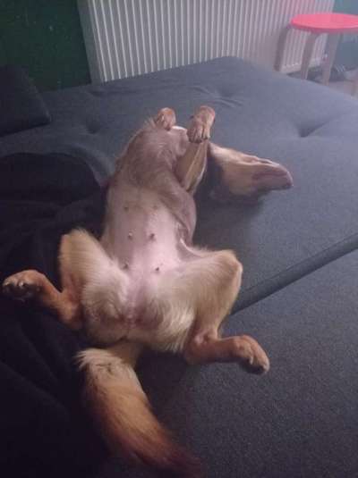 Fotochallenge Nr.65-Beitrag-Bild