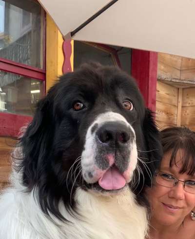 150. Foto Challaenge:  Die Augen, der Spiegel der Seele-Beitrag-Bild