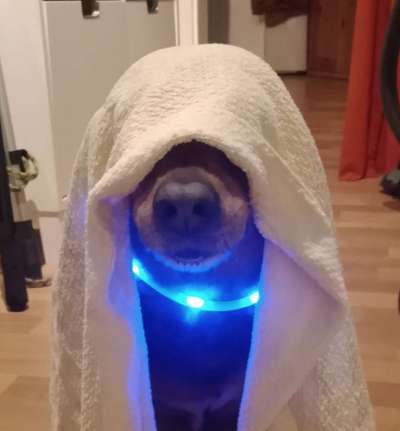 Fotochallange Nr. 57     PORTRÄT.   Beendet!!!!!!!!-Beitrag-Bild