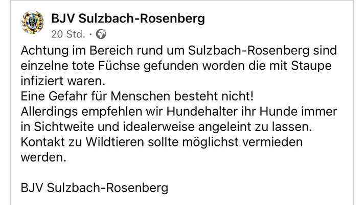 Giftköder-Tote Füchse - mit Staupe infiziert-Bild