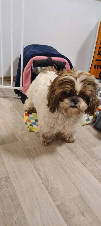 Blick fürs Detail!-Beitrag-Bild