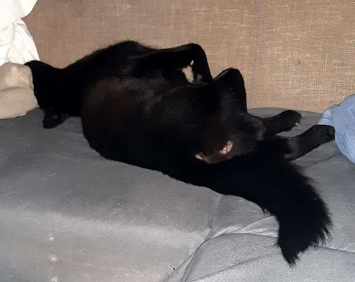 Die unbequemsten und lustigsten Schlafpositionen-Beitrag-Bild