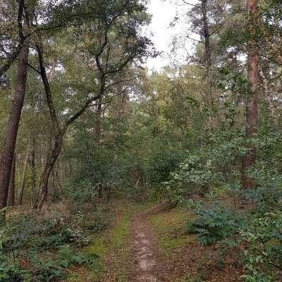 Hundeauslaufgebiet-Altes Kasernengelände-Bild