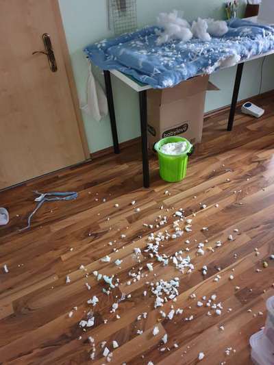 Zeig mir, dass du mit einem hund zusammenlebst....-Beitrag-Bild