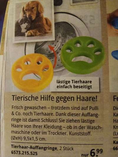 Tricks gegen Hundehaare in der Wäsche?-Beitrag-Bild