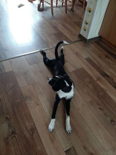 Foto-Challange No.1 - Alles aber nicht die Kamera-Beitrag-Bild