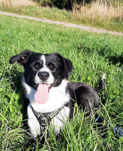 Foto-Challange No.1 - Alles aber nicht die Kamera-Beitrag-Bild