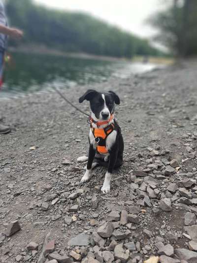 Foto-Challange No.1 - Alles aber nicht die Kamera-Beitrag-Bild