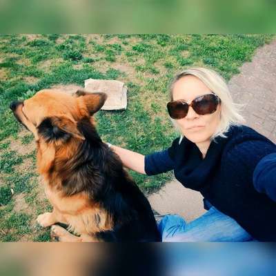 Hundetreffen-Wir suchen ein Schäferhundfrauchen für Wolfo, zwecks Nachkommen. Bei Interesse bitte melden.-Profilbild