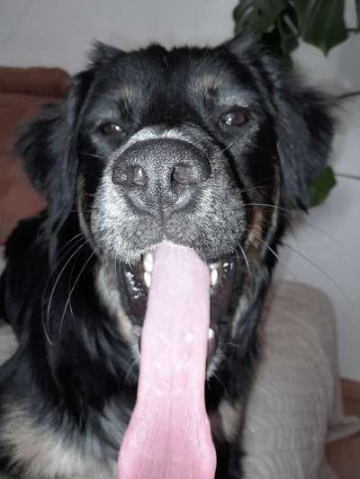 Handyfoto challenge Nr. 13: Waschlappen raus!-Beitrag-Bild