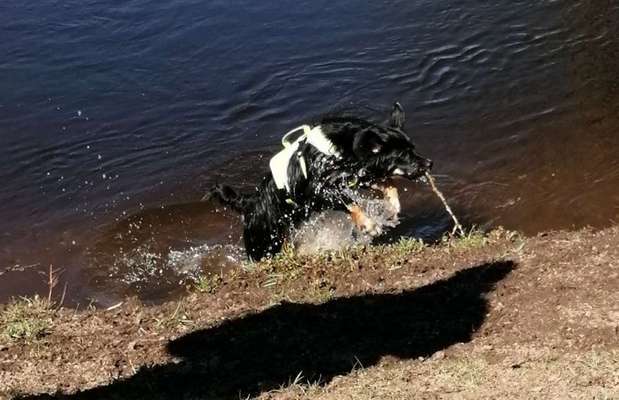 Fotowettbewerb Natur-Beitrag-Bild
