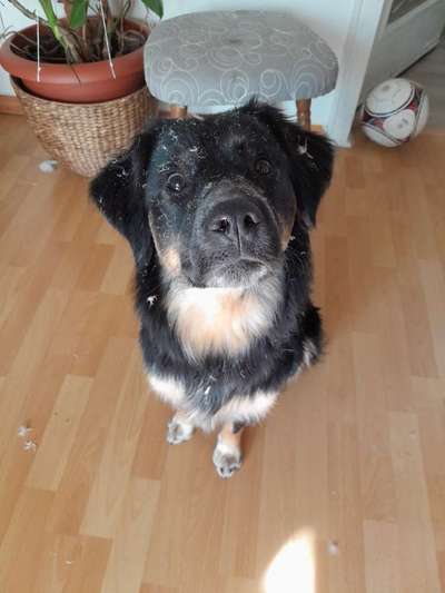 Fotochallenge 113: Auf frsicher Tat ertappt-Beitrag-Bild