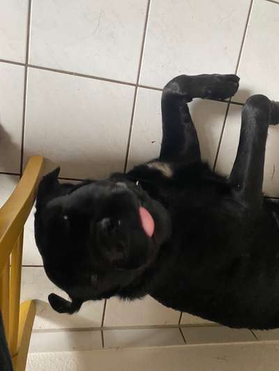 "Die eingefangene Magie des Augenblicks"-Beitrag-Bild