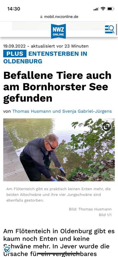 Giftköder-Bakterium auch im Bornhorster See?-Bild