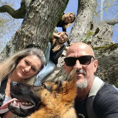 Hundetreffen-Gegenseitiges Übernehmen der Hunde im Urlaub-Bild