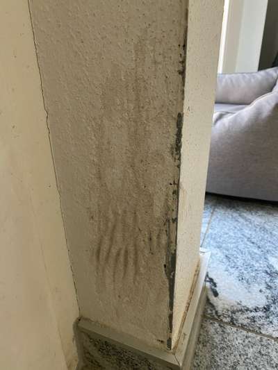 Zeig mir, dass du mit einem hund zusammenlebst....-Beitrag-Bild