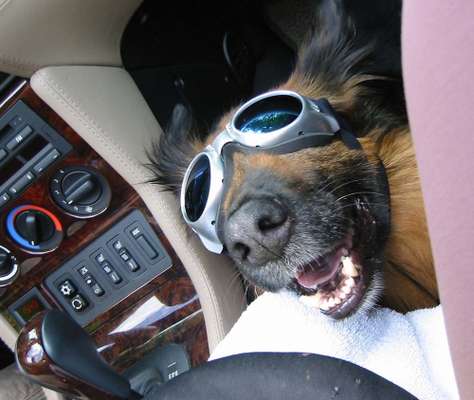 Lieblingsbild-Beitrag-Bild