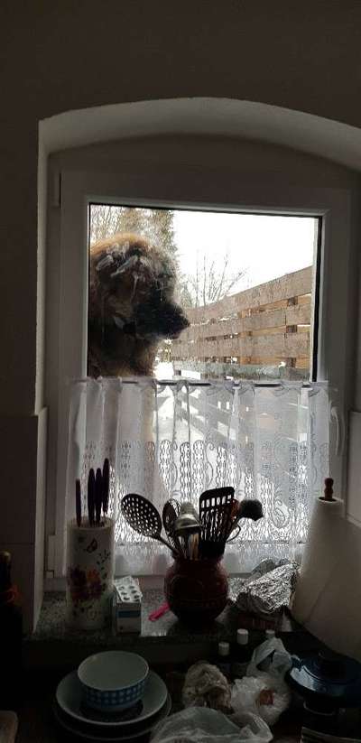 120. Fotochallenge-Beitrag-Bild