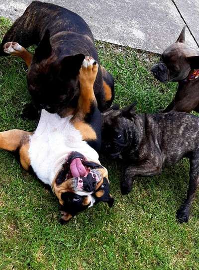 Immer lächeln !-Beitrag-Bild