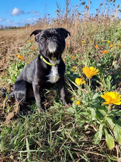 Fotochallange Nr. 57     PORTRÄT.   Beendet!!!!!!!!-Beitrag-Bild