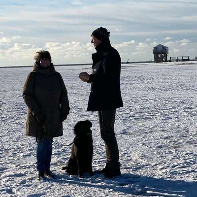 Hundetreffen-Mantrailing privat und zum Spass