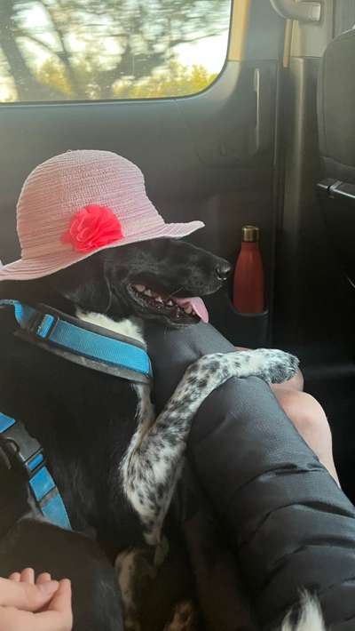 Fotochallenge 101:
On Tour-Beitrag-Bild