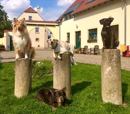 Tierärzte-Dr. Ulrike Filzek-Bild