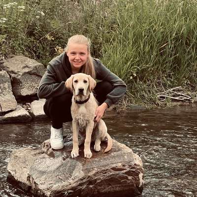 Hundetreffen-Welpentreffen/Junghunde-Profilbild