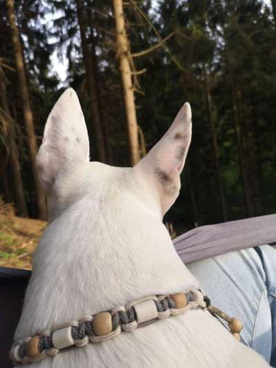 Blick fürs Detail!-Beitrag-Bild