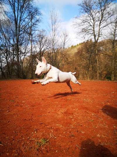 Fotochallenge Nr. 52 „Spring!“-Beitrag-Bild