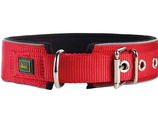 Breites, gepolstertes Halsband gesucht-Beitrag-Bild