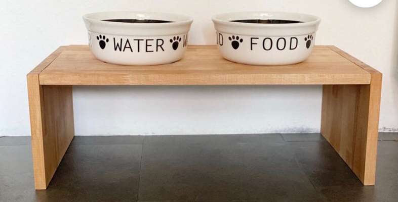 Hundebar - Futterbar-Beitrag-Bild