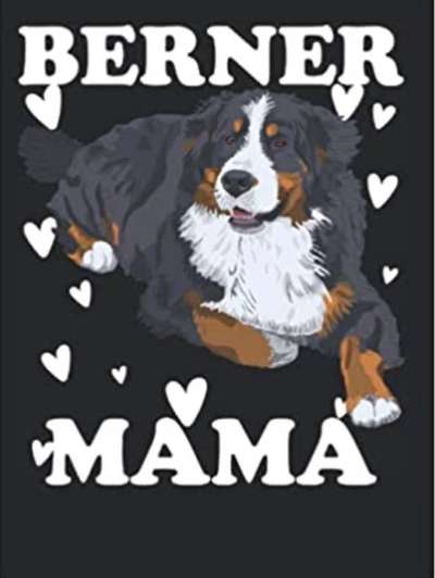 Berner Sennen-Beitrag-Bild