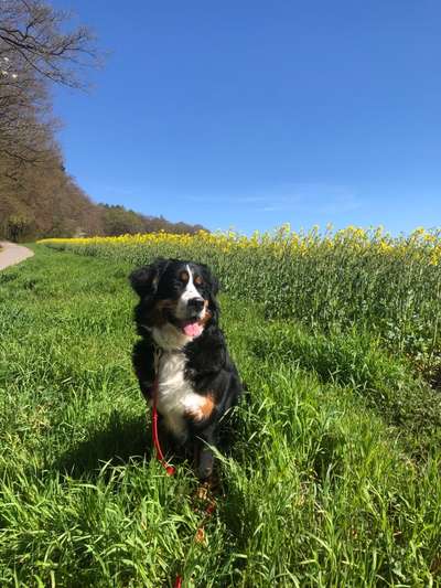 118. Fotochallange-Beitrag-Bild