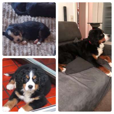 Vorher.... Nachher-Beitrag-Bild