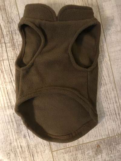 Hundesachen von Temu-Beitrag-Bild