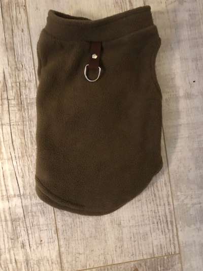 Hundesachen von Temu-Beitrag-Bild