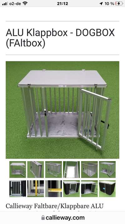 Hundebox-Beitrag-Bild