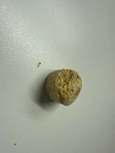 Giftköder-Verdächtige Pellets am Wegesrand im Efeu-Bild