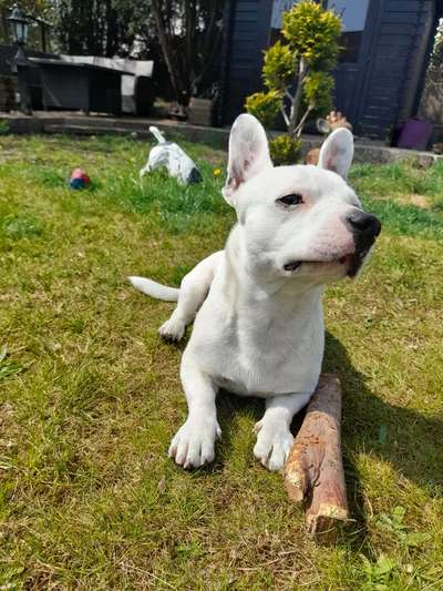 Fotochallenge 37- Sommerfeeling-Beitrag-Bild