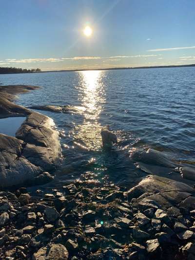 Wo sind die Golden Retriever Liebhaber?-Beitrag-Bild