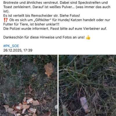 Giftköder-Brotreste, Speck, weißes Pulver-Bild