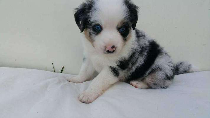 Vorher.... Nachher-Beitrag-Bild